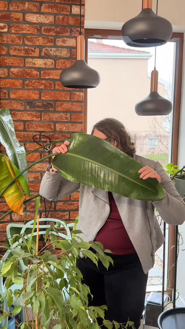 POV: masz syndrom oszusta, więc na powierzchni udajesz, że na wszystkim się znasz, jednocześnie żyjąc w strachu, że ktoś zaraz odkryje, że:

🫣 czegoś nie wiesz,

🫣 robisz minę profesjonalistki, a w środku: „o boże, o boże, o boże, zaraz się zorientują!”,

🫣 przed wysłaniem maila czytasz go z 17 razy, żeby przypadkiem nie wyszło, że jednak się na czymś nie znasz,

🫣 masz doświadczenie, kompetencje i wyniki, ALE nadal czekasz aż ktoś powie „przepraszam, zaszła pomyłka, pani chyba się tutaj nie nadaje”.

I najlepsze jest to, że inni patrzą na Ciebie i myślą: „WOW, ile ona ogarnia!!!” 🤯 A Ty w środku myślisz coś zupełnie innego… 🫣

Brzmi znajomo? 😊

Szykuję właśnie cykl masterclassów, które pomogą Ci uwolnić się od wewnętrznego głosu, który wciąż próbuje wmówić Ci, że jesteś oszustką 💃💃💃

Napisz w komentarzu: SYNDROM OSZUSTKI a wyślę Ci link do zapisów na listę zainteresowanych - dzięki temu dowiesz się o starcie zapisów jako jedna z pierwszych osób 💛

Dobrego dnia,
Karolina

syndrom oszusta • syndrom oszustki • krytyk wewnętrzny • pewność siebie • poczucie własnej wartości • wewnętrzny mindset